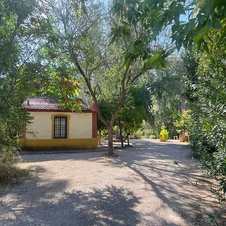 Holiday home El Duende *